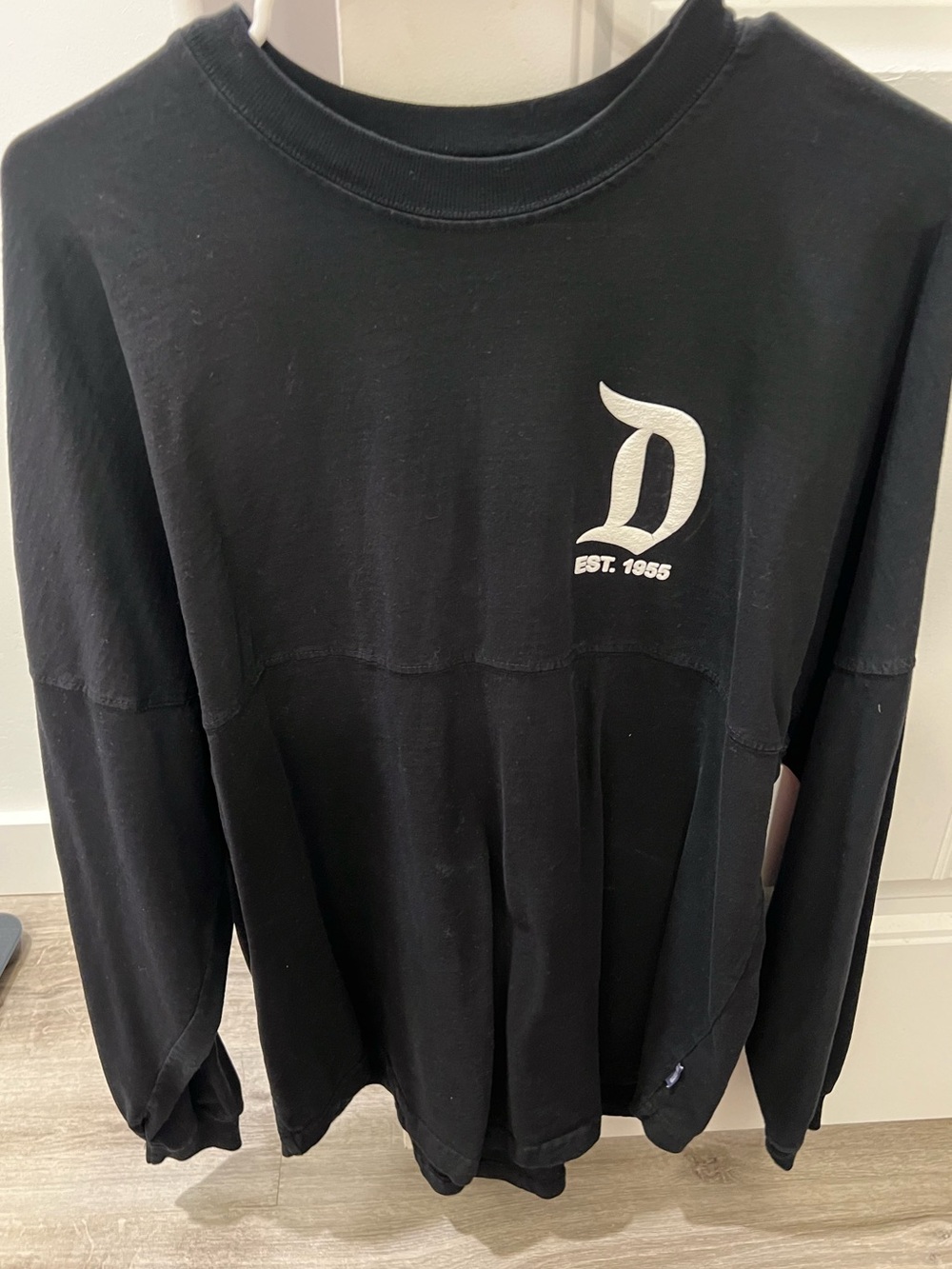 Disneyland Spirit Jersey